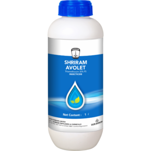 Shriram Avolet
