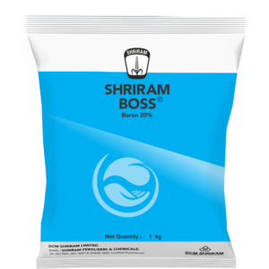 Shriram Boss