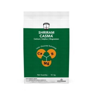 Shriram Casma