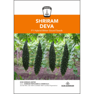 Shriram Deva