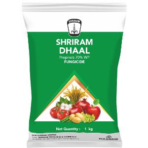 Shriram Dhaal