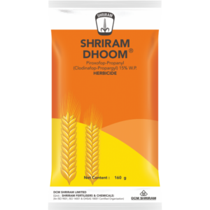 Shriram Dhoom