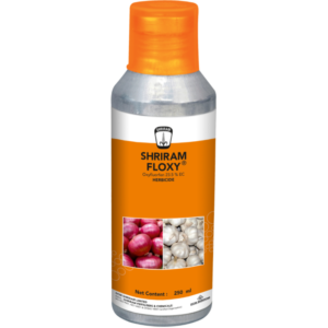 Shriram Floxy