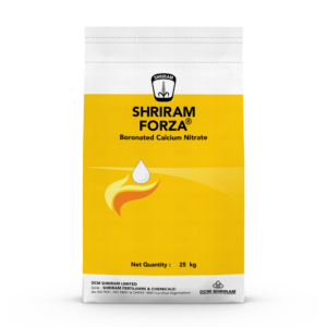 Shriram Forza