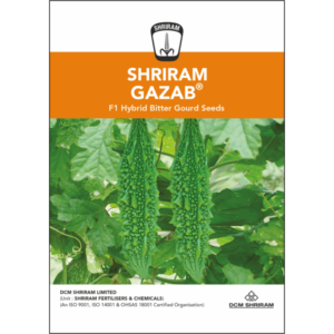 Shriram Gazab