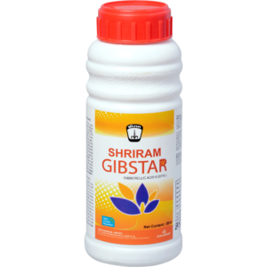Shriram Gibstar
