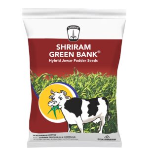 Shriram Green Bank