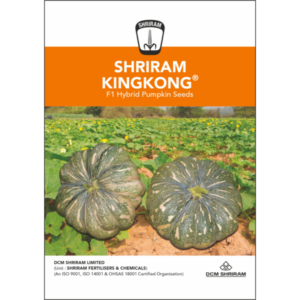 Shriram Kingkong