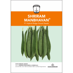Shriram-Manbhavan F1 Hybrid Ridge Gourd seeds
