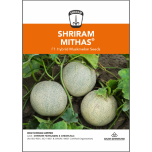 Shriram Mithas