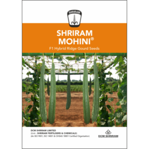 Shriram-Mohini F1 Hybrid Ridge Gourd seeds