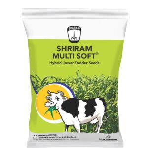Shriram Multisoft