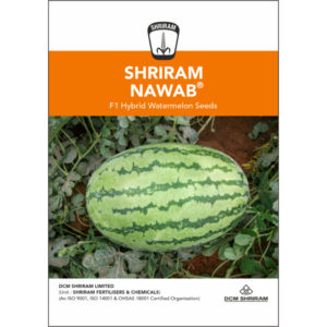 Shriram Nawab