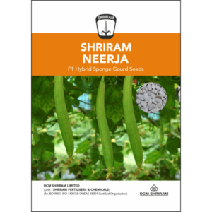 Shriram Neerja