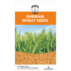 Shriram OP Wheat