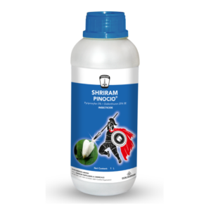 Shriram Pinocio