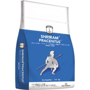 Shriram Pracentus