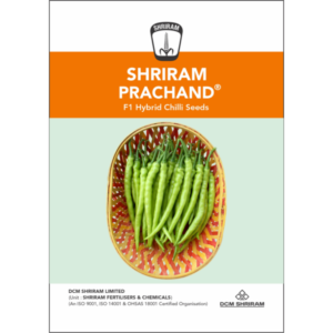 Shriram-Prachand