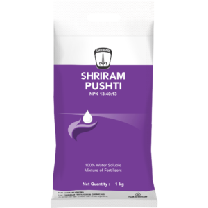 Shriram Pushti