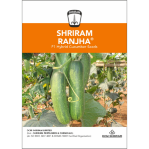 Shriram Ranjha
