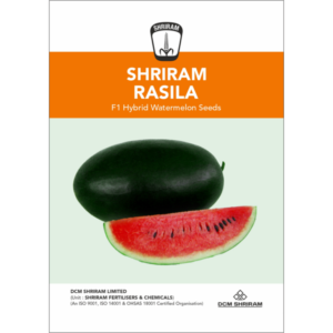 Shriram Rasila
