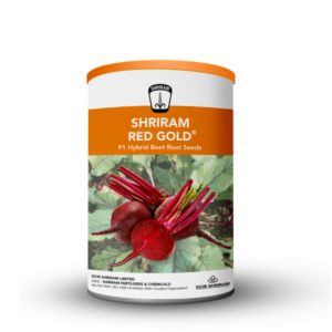 Shriram Red Gold