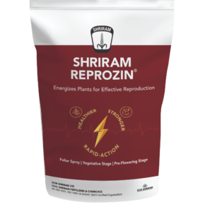 Shriram Reprozin