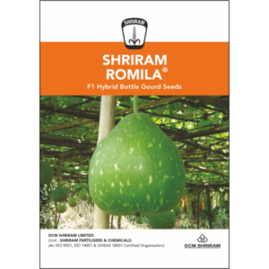 Shriram Romila