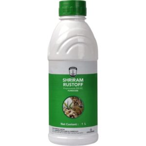 Shriram Rustoff