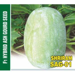 Shriram SAG 01