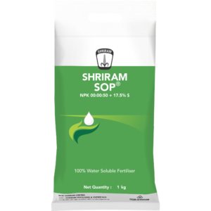 Shriram SOP