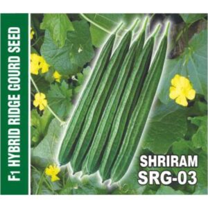 Shriram-SRG03 F1 Hybrid Ridge Gourd seeds