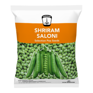 Shriram Saloni
