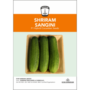 Shriram-Sangini F1 Hybrid Cucumber Seeds