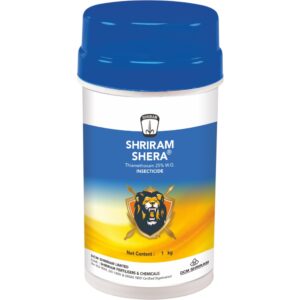 Shriram Shera