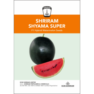 Shriram Shyama Super