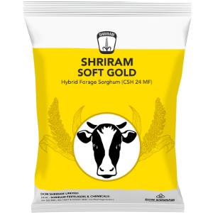 Shriram Soft Gold