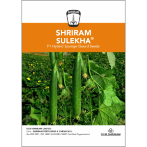 Shriram Sulekha