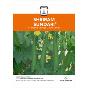 Shriram-Sundari F1 Hybrid Sponge Gourd seeds