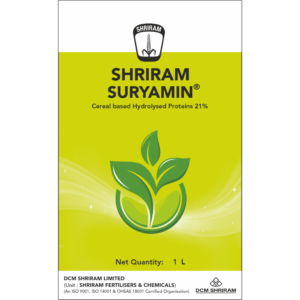 Shriram Suryamin