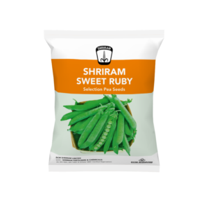 Shriram Sweet Ruby
