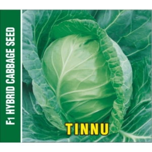 Shriram-Tinnu F1 Hybrid cabbage seeds