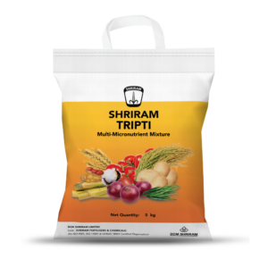 Shriram Tripti