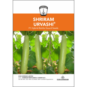 Shriram Urvashi