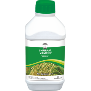 Shriram Vamcin