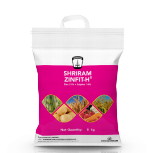 Shriram Zinfit-H