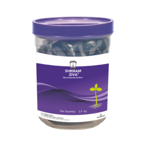 Shriram Ziva (Soil)