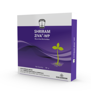 Shriram Ziva (Drip)