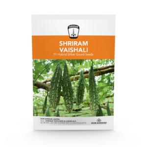 Shriram Vaishali