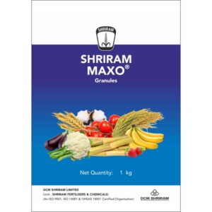 Shriram Maxo